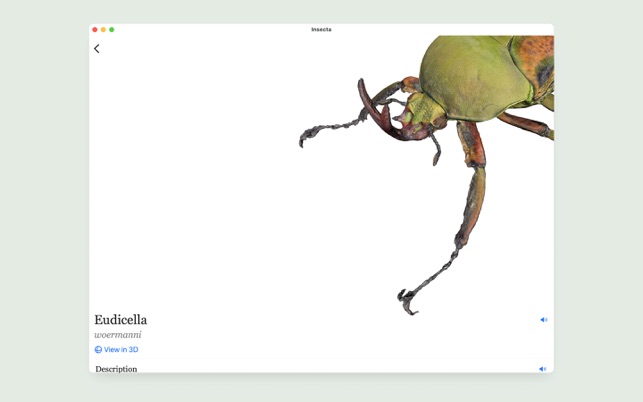 ‎Insecta. Screenshot