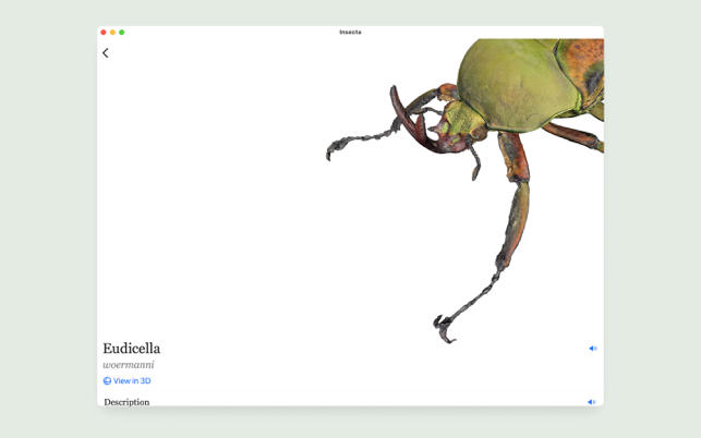 ‎Insecta - Study Insects in AR Screenshot