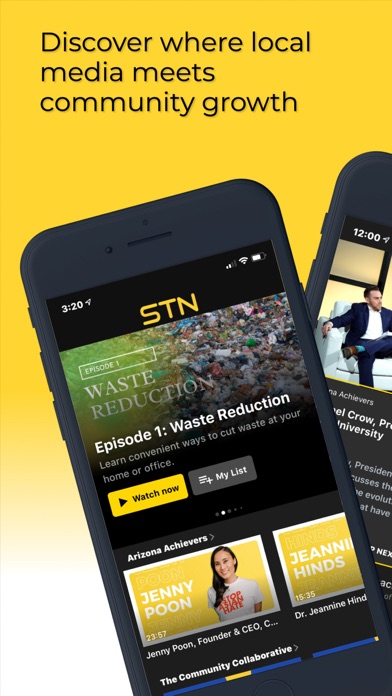 STN Screenshot