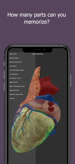 Game screenshot Anatomy Of The Human Heart hack