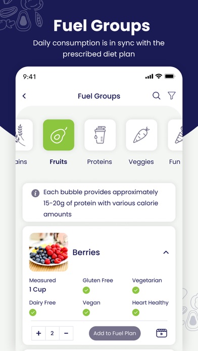 Fuel Plan Screenshot