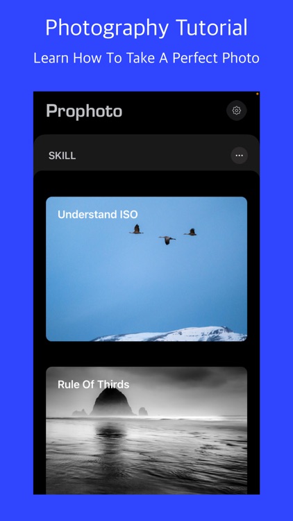 Proca - Manual Camera  & raw