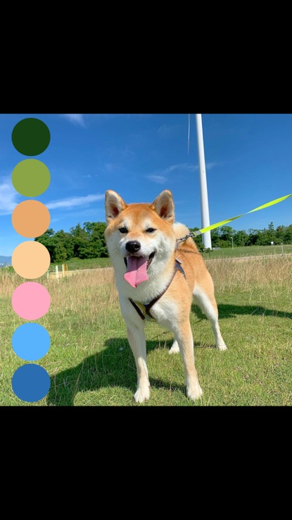 ColorPalette: Swatch Maker screenshot-5