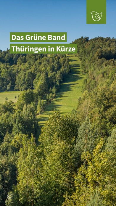 grünebandbreite Screenshot