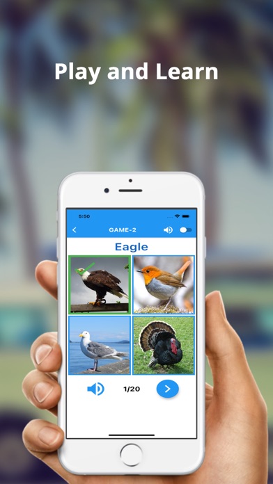 English Vocabulary-Flashcards Screenshot