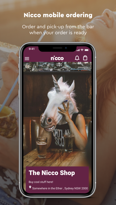 Nicco Global Screenshot