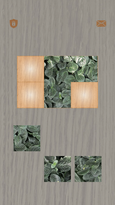 Plants: Tiling Puzzles Screenshot