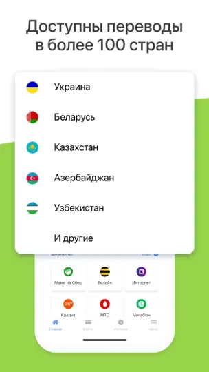 Скриншот Пэй-ап.Платежи на iPhone 5
