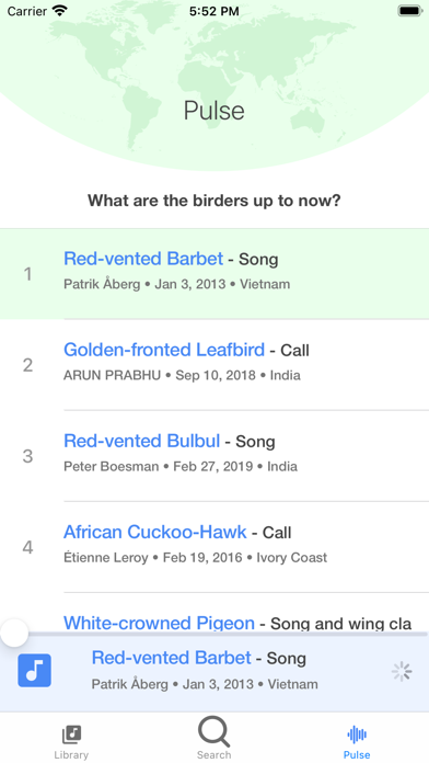 Bird Calls and Songs