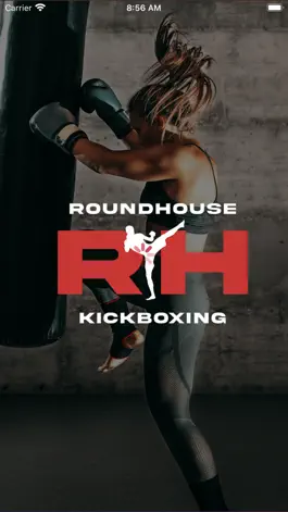 Game screenshot Roundhouse Kickboxing mod apk