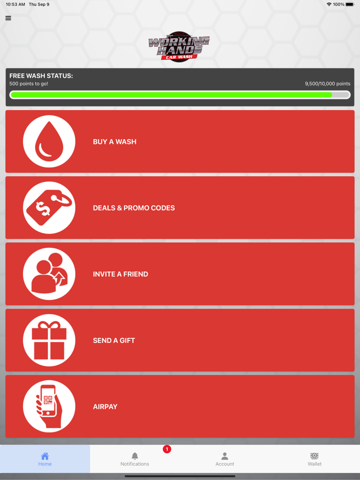 Working Hands Car Wash