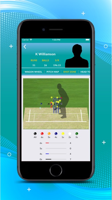 CRICKET 21 LIVE Screenshot