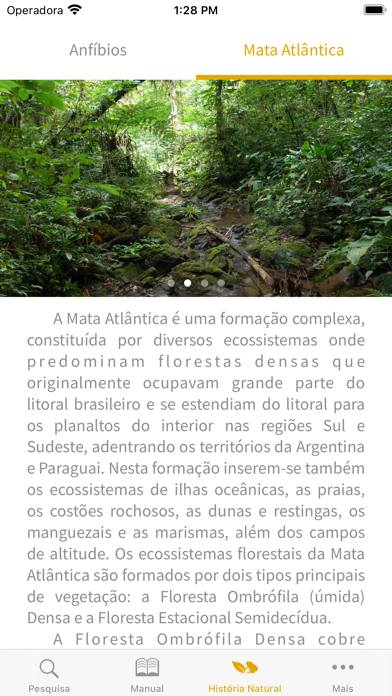 Anfíbios da Mata Atlântica Screenshot