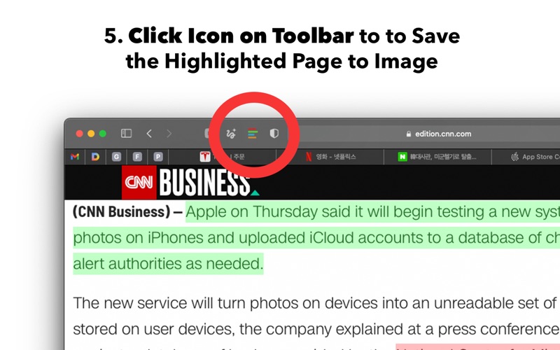 auto highlighter for safari problems & solutions and troubleshooting guide - 2