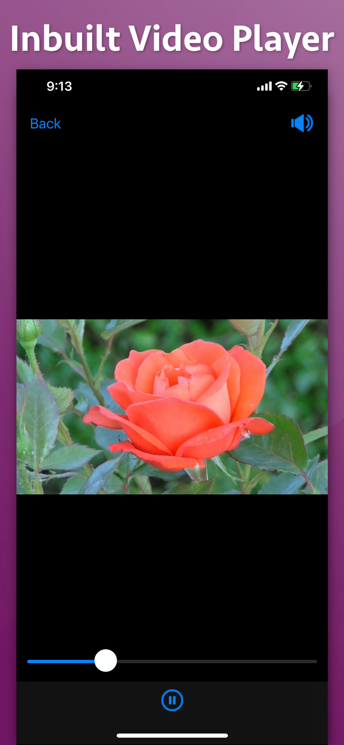 Video to Audio Extractor