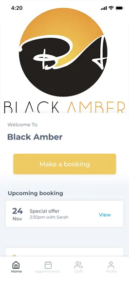 Game screenshot Black Amber mod apk