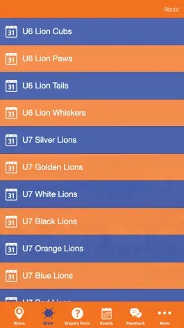 Game screenshot Lions FC apk