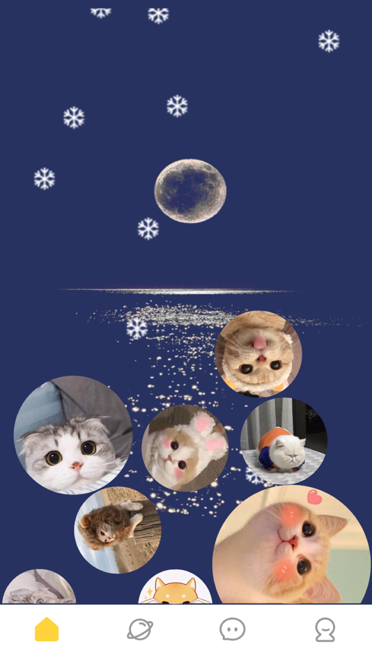 #1. 缘星球 (iOS) 게시자: 嘉莹 陈