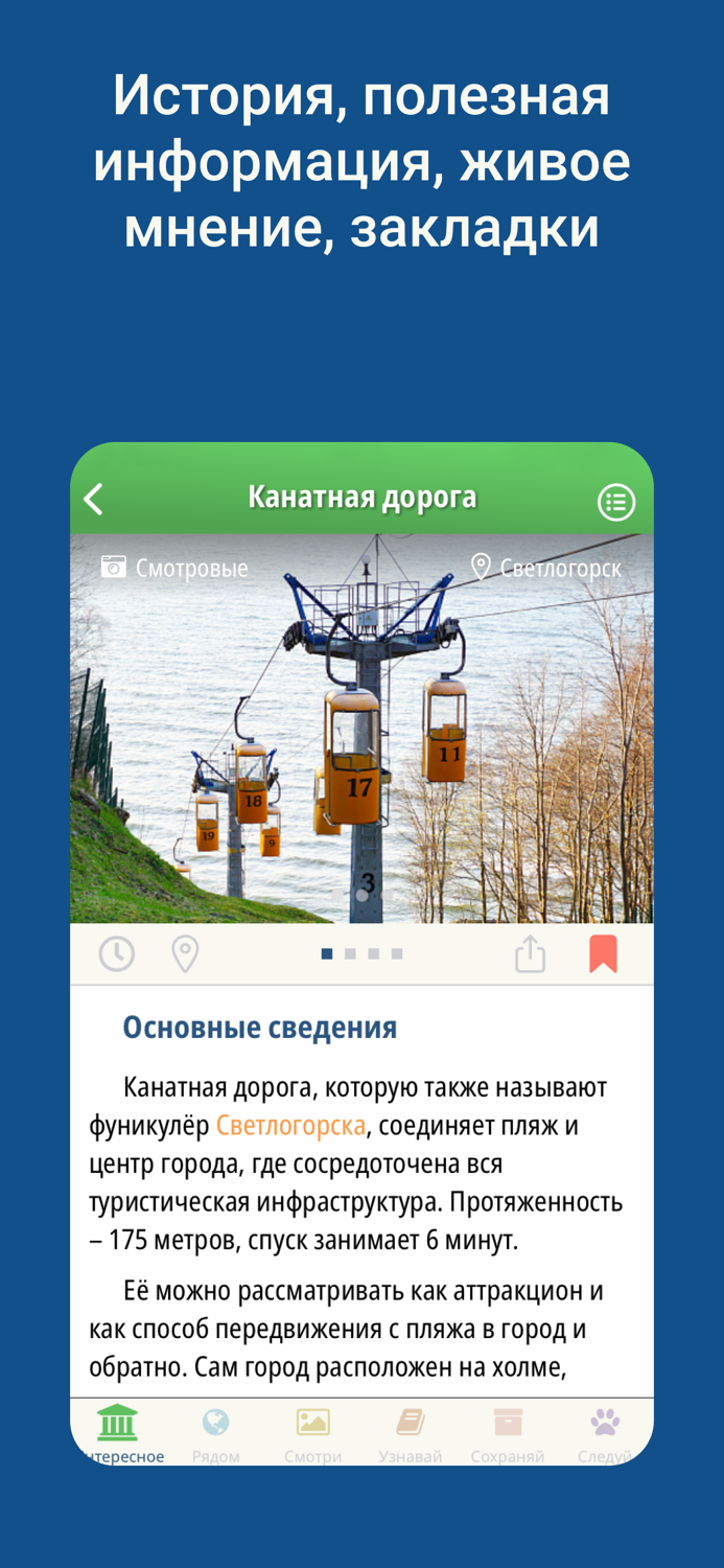 I wonder  Калининград