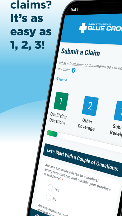 SK Blue Cross: Personal Screenshot