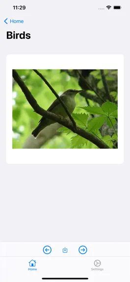 Game screenshot Petology - Pet Pics hack
