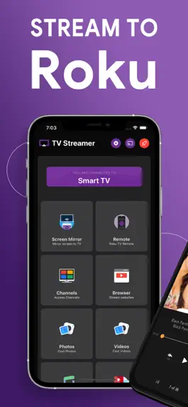 Game screenshot TV Streamer for Roku mod apk