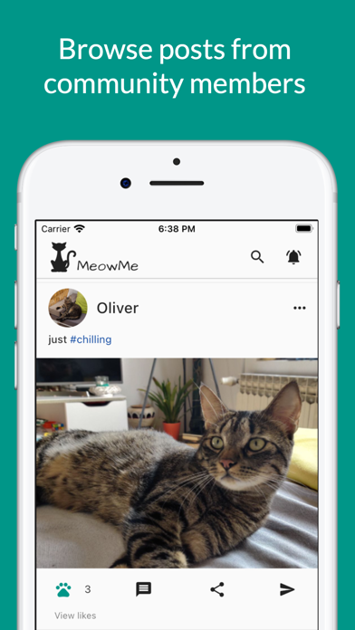 MeowMe - Cat Social Networkのおすすめ画像1