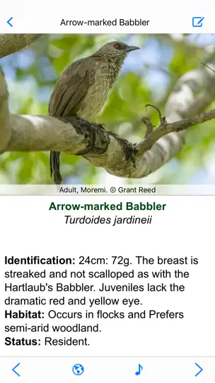 Screenshot von Botswana Wildlife Guide auf dem iPhone 2