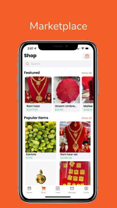 Nepo Screenshot