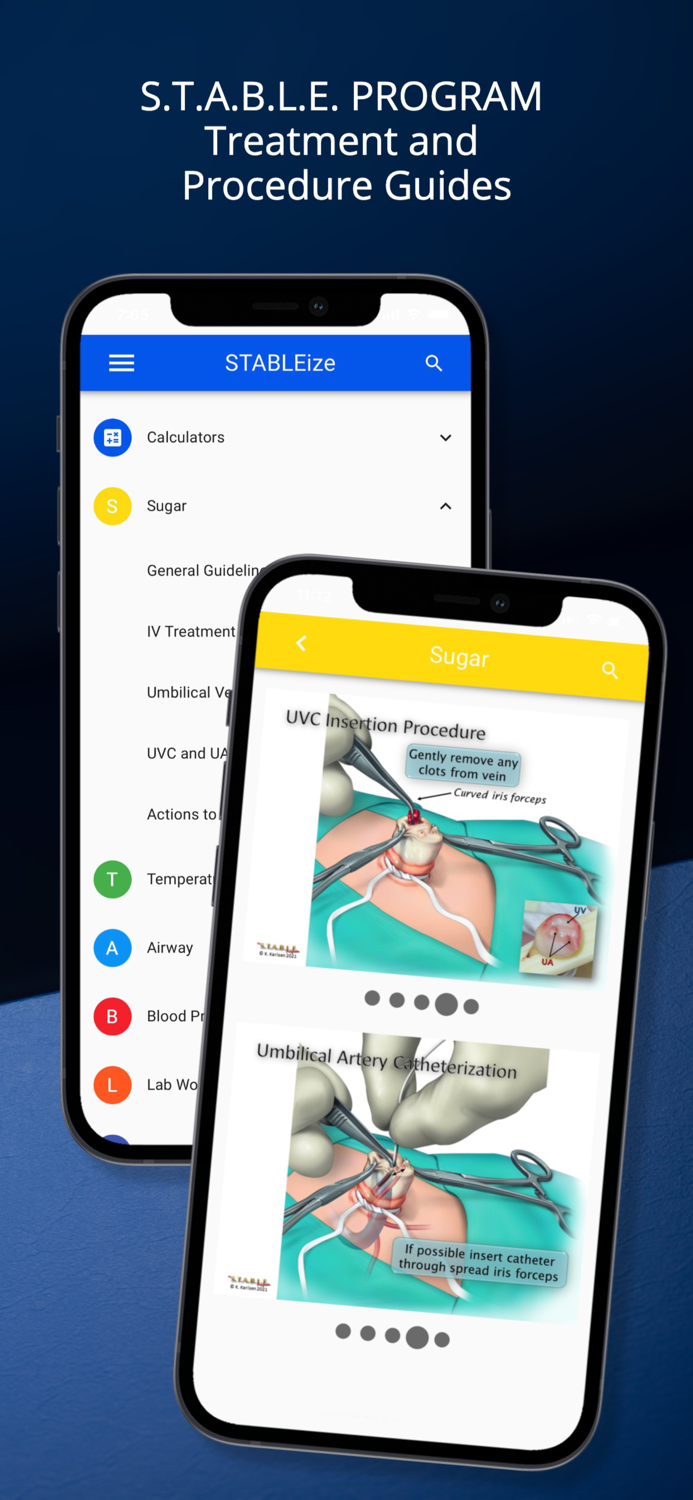 STABLEize - The STABLE Program