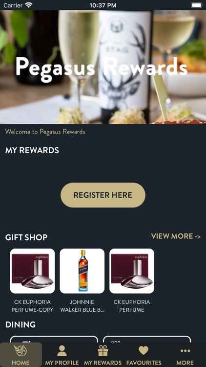 Pegasus Leisure Group