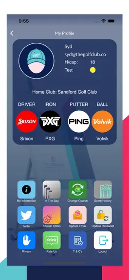 Game screenshot Pinnacle Golf apk