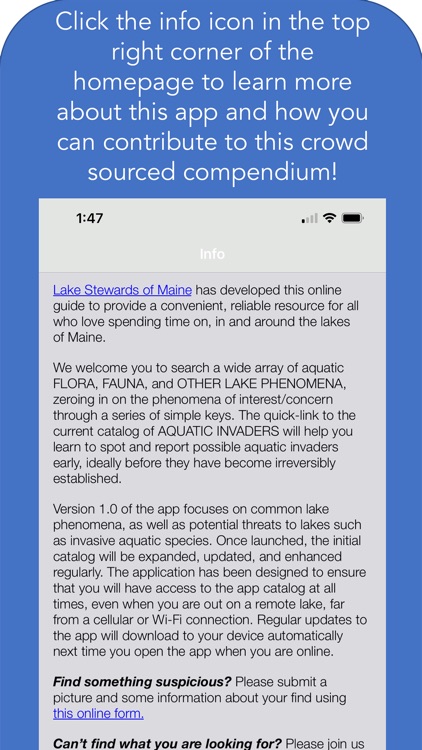 Maine Aquatic Phenomena screenshot-9