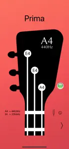 Balalaika Tuner Pro screenshot #1 for iPhone