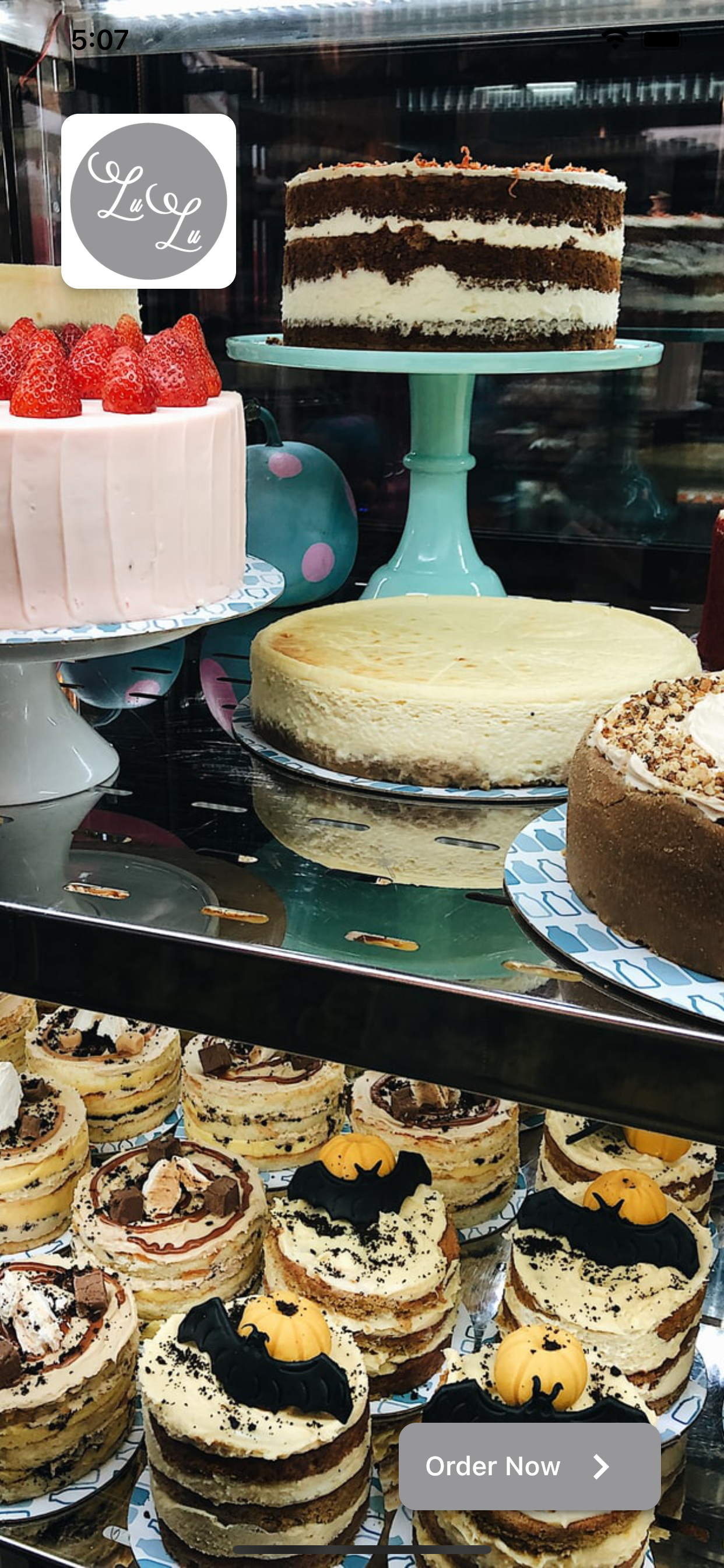 Lu Lu Cakes and Bakes