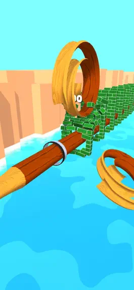 Game screenshot Spiral Rider apk