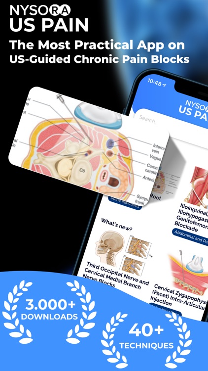 NYSORA Ultrasound Pain