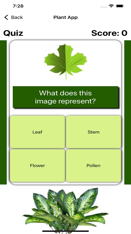 Enhance Greenery Vocab screenshot-4