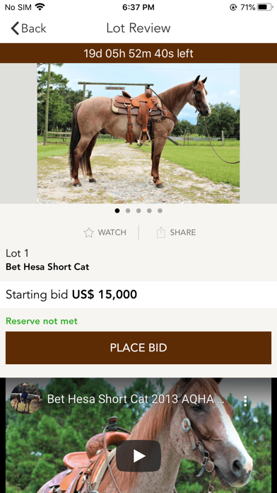 Dan Post Quarter Horse Auction Screenshot