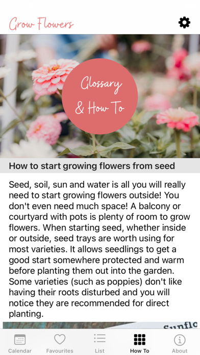 Grow Flowers Screenshot