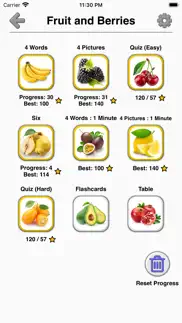 fruit and vegetables - quiz problems & solutions and troubleshooting guide - 4