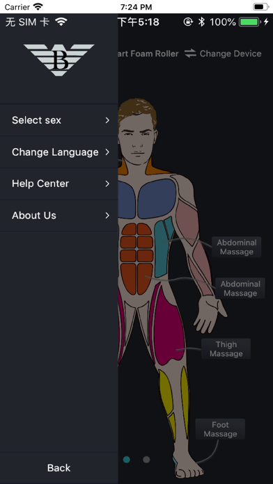 Smart Foam Roller Screenshot