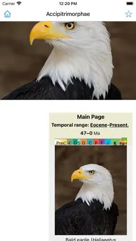 Game screenshot Encyclopedia of Birds apk