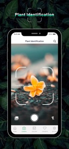 Identify Plant : Flower & Tree screenshot #3 for iPhone