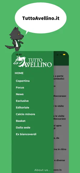 Game screenshot Tutto Avellino hack