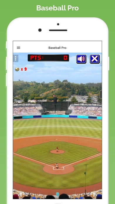 Baseball Pro* Screenshot