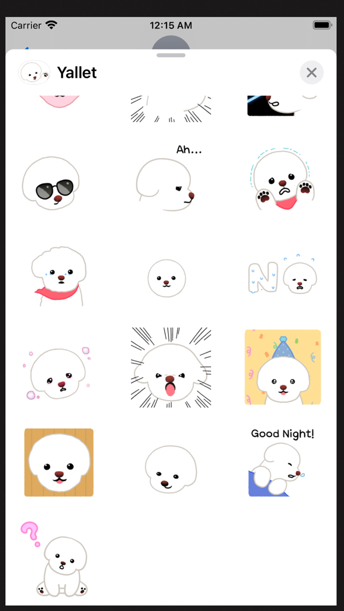 Yallet the bichon frise