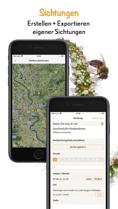 Wildbienen Id BienABest Screenshot