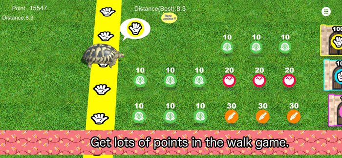 Tortoise to grow relaxedly