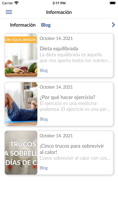 Puerto Tranquilo Screenshot